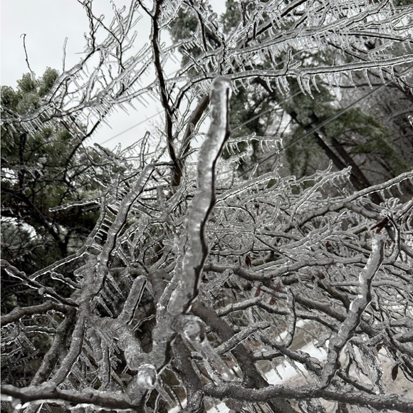 Meet your Posher, Hannah - Picture 4 of 8